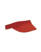 Visera de Disvel para Sala