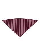 Pañuelo Triangular