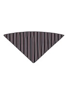 Pañuelo Triangular